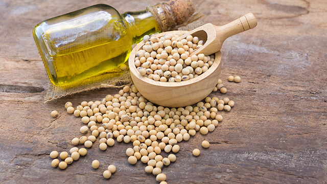 Soybean seed and soybean oil bottle smaller