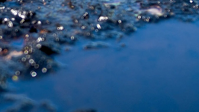 Alfa Laval Adaptive Fuel Line vignette640x360