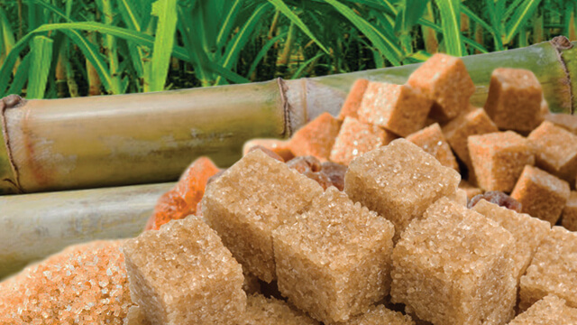 Sugar etanol plant Brazil case story 640x360