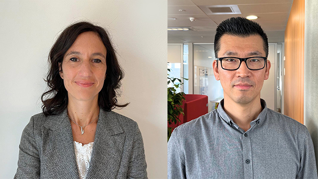 David-&-Nicoletta blog