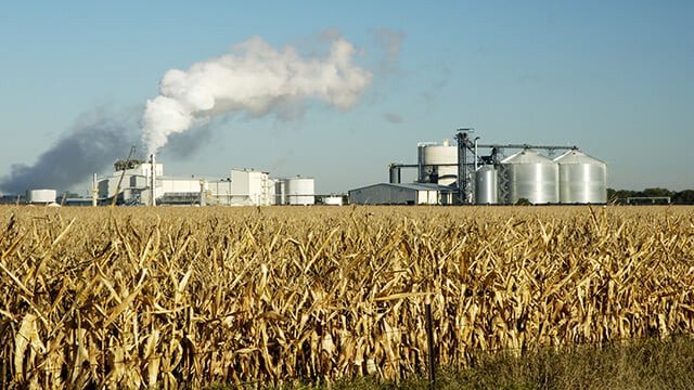 cornfield_ethanol_plant_smaller.jpg